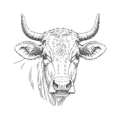 Cow Head with retro photocopy stipple effect, for grunge design. Vector illustration in vintage halftone brutalist design for banner or poster