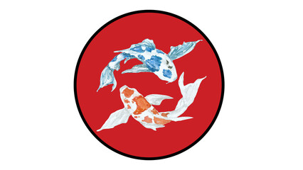  Beauty koi fish swimming on red sun background.