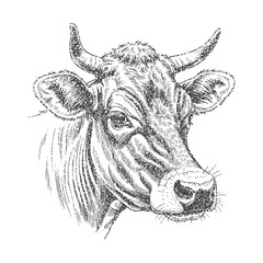 Jersey Cow Head with retro photocopy stipple effect, for grunge design. Vector illustration in vintage halftone brutalist design for banner or poster