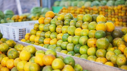 Neat arrangement of sweet and ripe yellow oranges