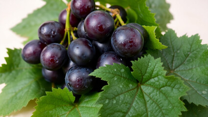 plump grapes with a purplish-black hue, some still on the stem. 