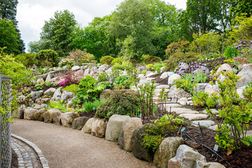 Clean and groomed territory of Copenhagen Botanical gardens in may. Different plants and trees...