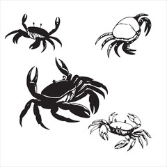 crabs-vector.
