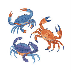 crabs-vector.
