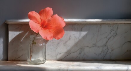 Vibrant Hibiscus Flower in Glass Jar on Marble Counter