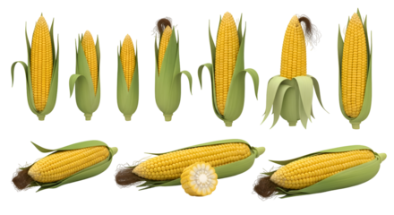 Growing Corn: Stages of Development, Harvest, and Transparent Background Images