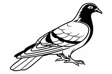 pigeon sihouette black vector