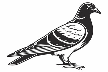 pigeon sihouette black vector