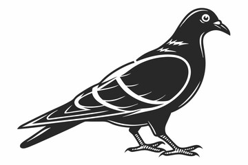 pigeon sihouette black vector