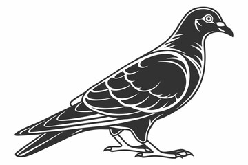 pigeon sihouette black vector