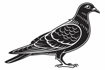 pigeon sihouette black vector