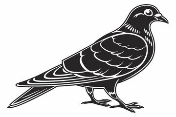 pigeon sihouette black vector