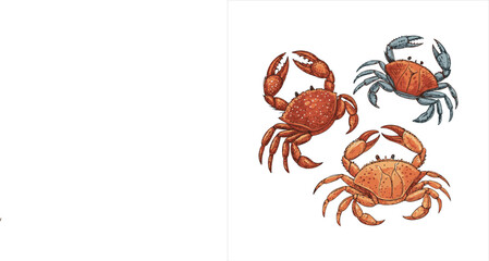 crabs-vector.