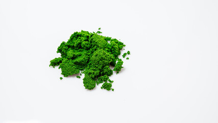 Fototapeta premium Wolffia Globosa super food in thailand on a clean white background.