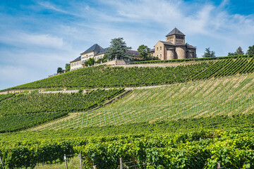 View over the vineyards of Johannisberg under a blue and white sky