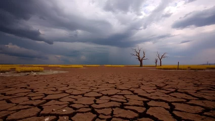 Gardinen Cracked earth landscape with yellow flowers and ominous sky drought conditions © goslim