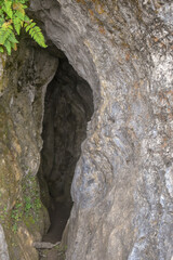 Atmospheric entrance to a dark, mysterious cave, framed by textured rock and hints of greenery.