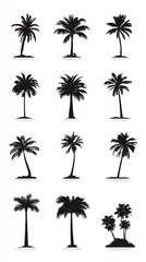 A stunning image of tropical palm trees icon template color editable. Summer Black palm tree silhouette symbol vector sign isolated on white background illustration for graphic.