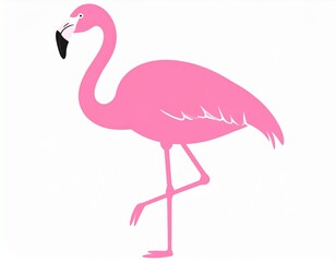 Obraz premium ピンク色のフラミンゴ
