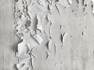 Background of peeling old wall paint. Damaged grunge wall surface. Concrete wall with peeling white paint due to humidity, temperature changes, paint age, mold and mildew growth.