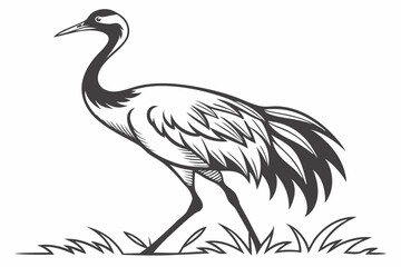 cranes bird sihouette black vector bundle