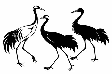 cranes bird sihouette black vector bundle