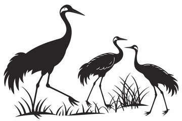 cranes bird sihouette black vector bundle