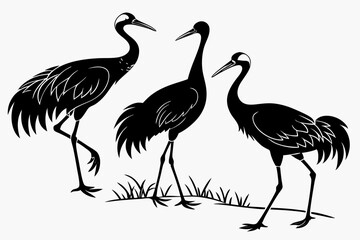 cranes bird sihouette black vector bundle