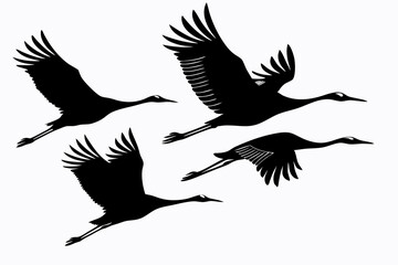 cranes bird sihouette black vector bundle