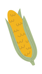 Ripe ear of corn with kernels showing, still partially covered by green leaves, offering a simple yet vibrant depiction of this popular vegetable