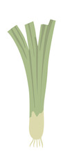 Spring onion vegetable with long green leaves and white bulb, isolated on white background, representing healthy eating, organic farming, and culinary ingredients