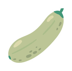 Cartoon illustration of a single zucchini with green stem laying on a white background, representing healthy eating, veganism, and farm to table concepts