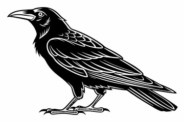 rook bird sihouette black vector © mst