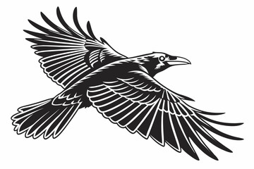 rook bird sihouette black vector