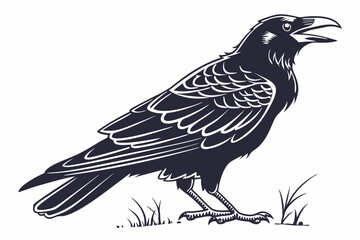 rook bird sihouette black vector