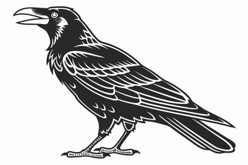 rook bird sihouette black vector
