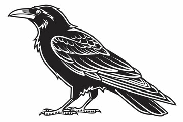 rook bird sihouette black vector