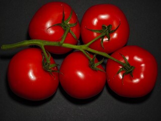 Tomatoes a branch of several ripe red tomatoes