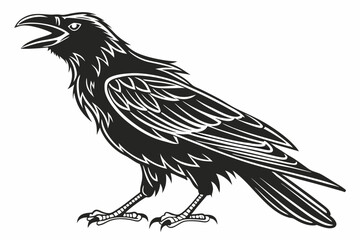 Fototapeta premium raven sihouette black vector
