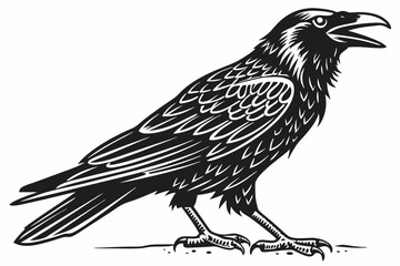 raven sihouette black vector