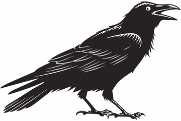 raven sihouette black vector