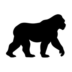 vector silhouette  Gorilla