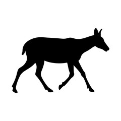 silhouette of a deer