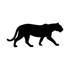 leopard vector illustration