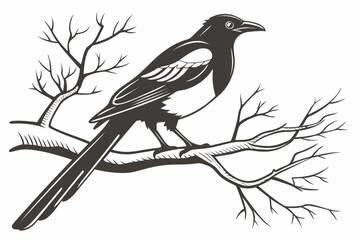 magpie sihouette black vector