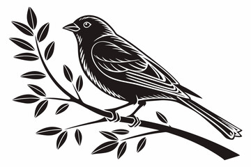 canary sihouette black vector