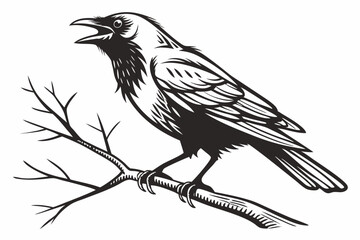 wren sihouette black vector