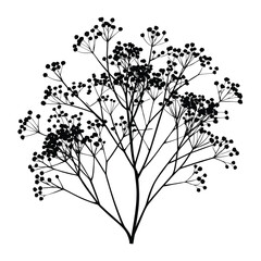 Black and white baby's breath flower silhouette vector illustration graphic design element art 
