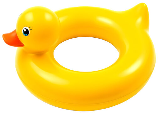 여름 오리 튜브summer duck tube