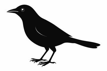 blackbird sihouette black vector